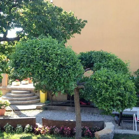 Aleksandra 公寓 马林斯卡